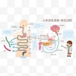 健康科普元素图片_人体消化系统消化过程