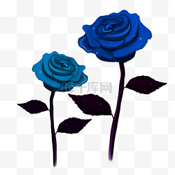 蓝色妖姬玫瑰花图片_浪漫神秘蓝色玫瑰