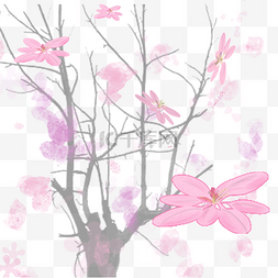 唯美粉色樱花树图片_樱花节唯美小清新粉色樱花飘落樱
