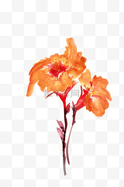 水墨画橙色的花卉