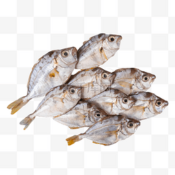 海鲜水产油叶鱼