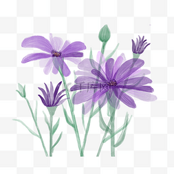 手绘水彩花卉植物图片_水彩风格花卉植物配图