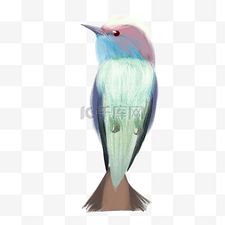 毛发绘画图片_彩色创意小鸟绘画元素