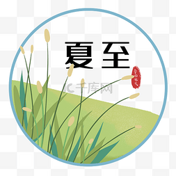 二十四夏至图片_二十四节气夏至野草 