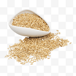 麦子图片_粮食农作物麦子
