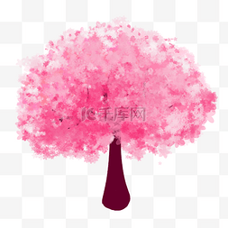 粉色樱花树图片_浪漫粉色樱花树