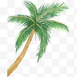 植物椰树图片_倾斜绿色椰树椰子PNG素材