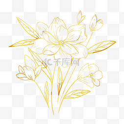 金色线描花朵图片_金色线描花朵