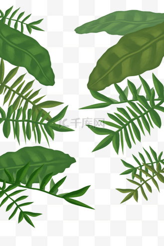 热带植物芭蕉叶底纹