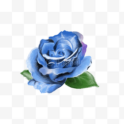 蓝色玫瑰花图片_油画玫瑰花