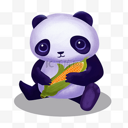 吃玉米图片_吃玉米的熊猫