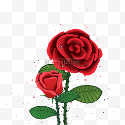 红色玫瑰花海报图片_红色玫瑰花两朵玫瑰