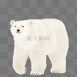北极熊变暖图片_北极熊大白熊