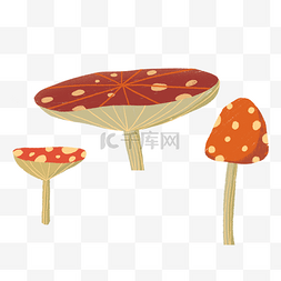 植物彩色蘑菇
