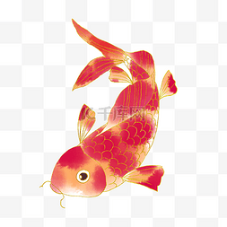 国潮红色金鱼小鱼