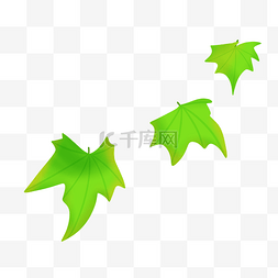漂浮的树叶团插图