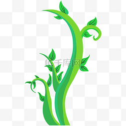 嫩绿树藤植物