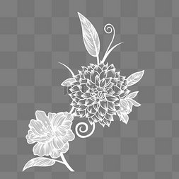 白色手绘线描花卉