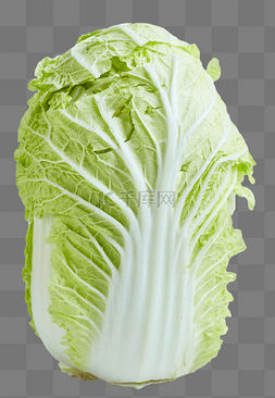 大白菜图片_蔬菜大白菜