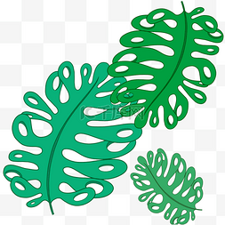 大叶植物叶图片_夏季主题芭蕉叶热带植物手绘装饰