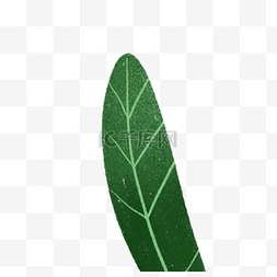 手绘大叶植物图片_手绘卡通绿色大叶植物免扣元素