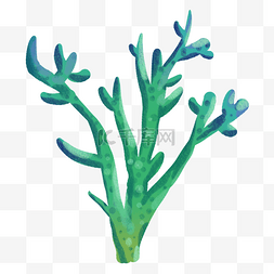 珊瑚插画元素图片_绿色珊瑚插画