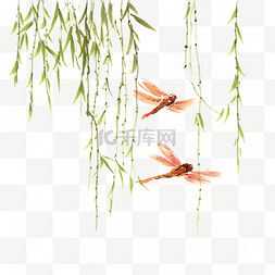 荷花水墨画图片_柳叶间的蜻蜓