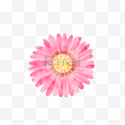 透明粉色水彩花卉