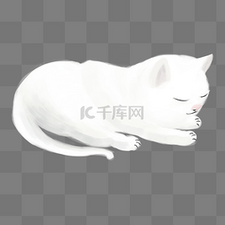创意白色小猫图片_白色可爱小猫元素