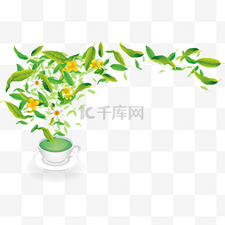 绿茶花茶