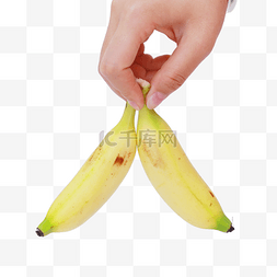 两根香蕉图片_两根香蕉