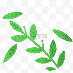 嫩绿色的卡通绿叶植物