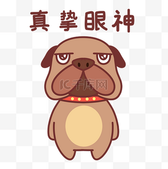坚定眼神图片素材_小狗真诚眼神表情包