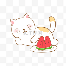 一只可爱的吃西瓜的猫