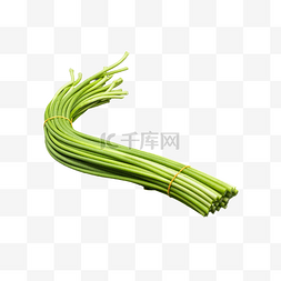 蒜苔彩绘图片_新鲜蔬菜蒜苔
