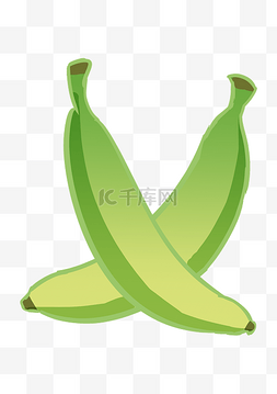 夏季水果绿色香蕉