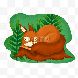 松鼠睡觉图片_棕色的松鼠