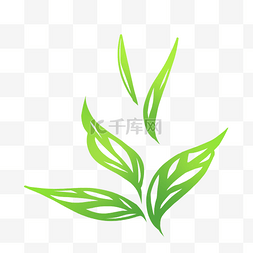 线描茶茶叶