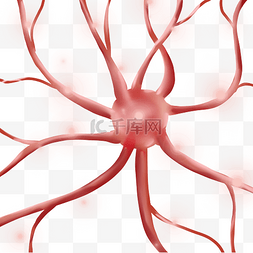 神经元细胞图片_医学科学神经元