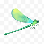 一只绿色蜻蜓