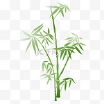 水墨画绿色竹子