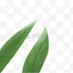 二片叶子图片_二片绿色叶子免抠图