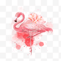 粉色唯美手绘花图片_手绘水彩创意热带火烈鸟