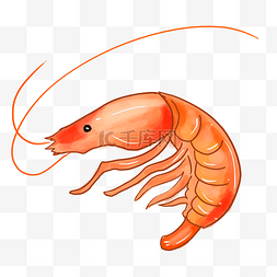 基围虾虾图片_粉红皮皮虾
