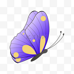 矢量手绘抽象蝴蝶图案