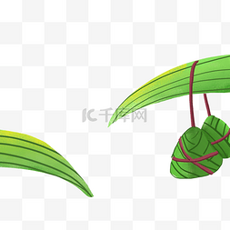 辛香料植物图片_绿色的植物和棕子免抠图
