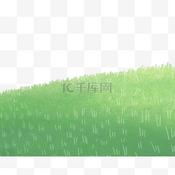 绿油油的草坪