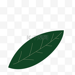 绿色一片叶子图片_卡通一片绿色的叶子免扣图