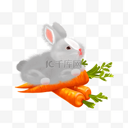 小兔子萝卜图片_矢量动物系列小白兔吃萝卜
