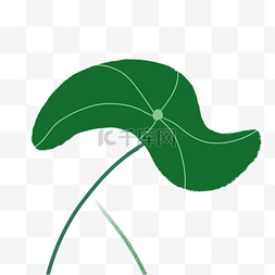 绿色弯曲荷叶植物元素